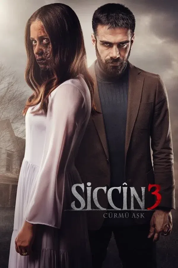 Poster phim Lời Nguyền Sijjin 3 trên Motchill